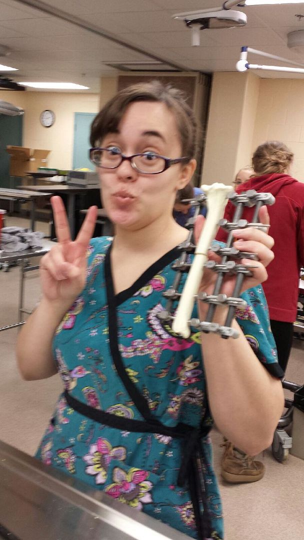 enter image title here enter image description here