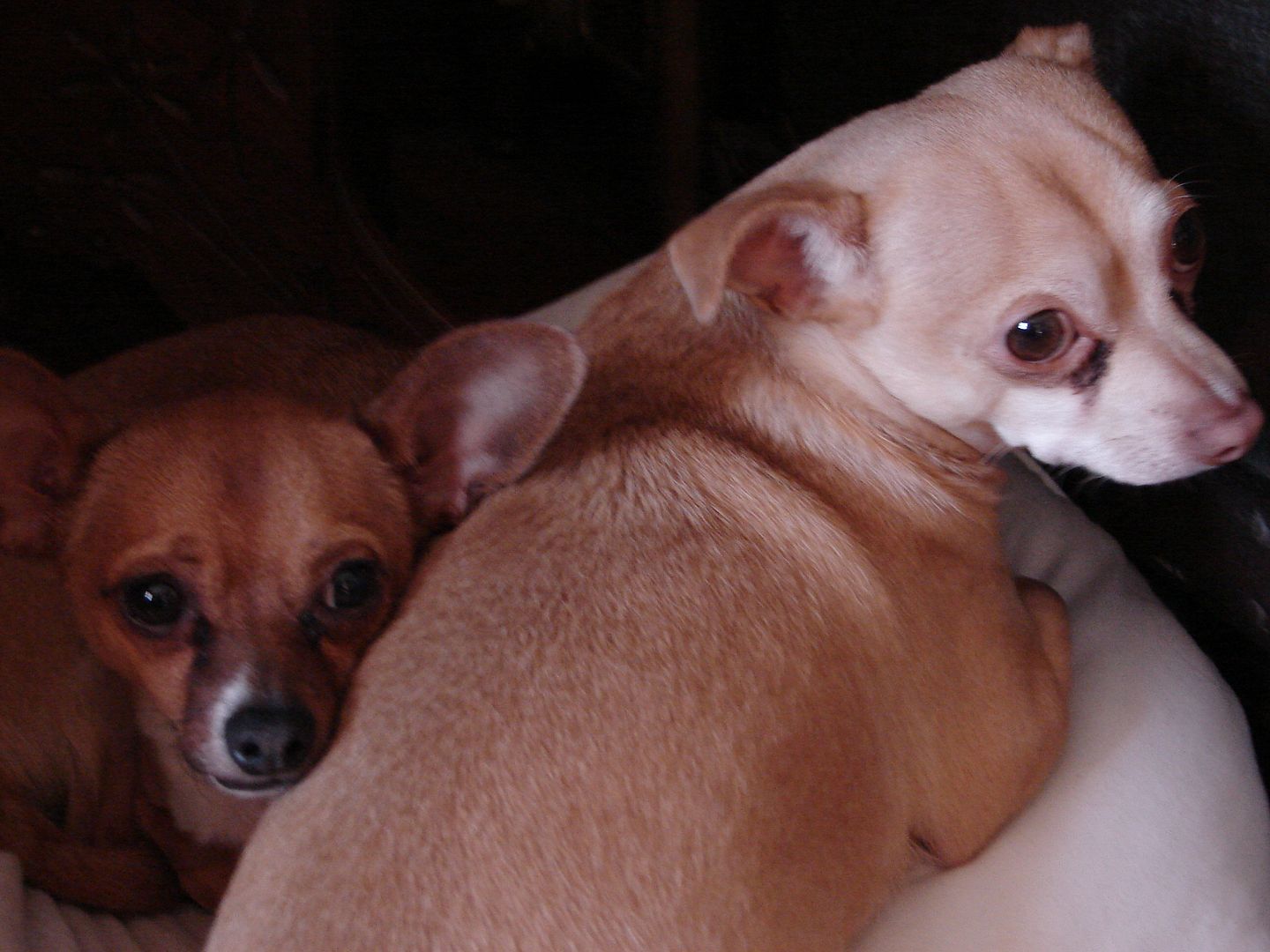 photo DSC00399_zps1f7c12da.jpg