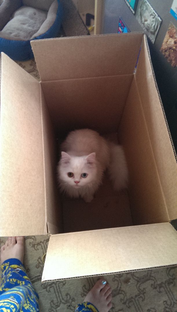 enter image title here enter image description here