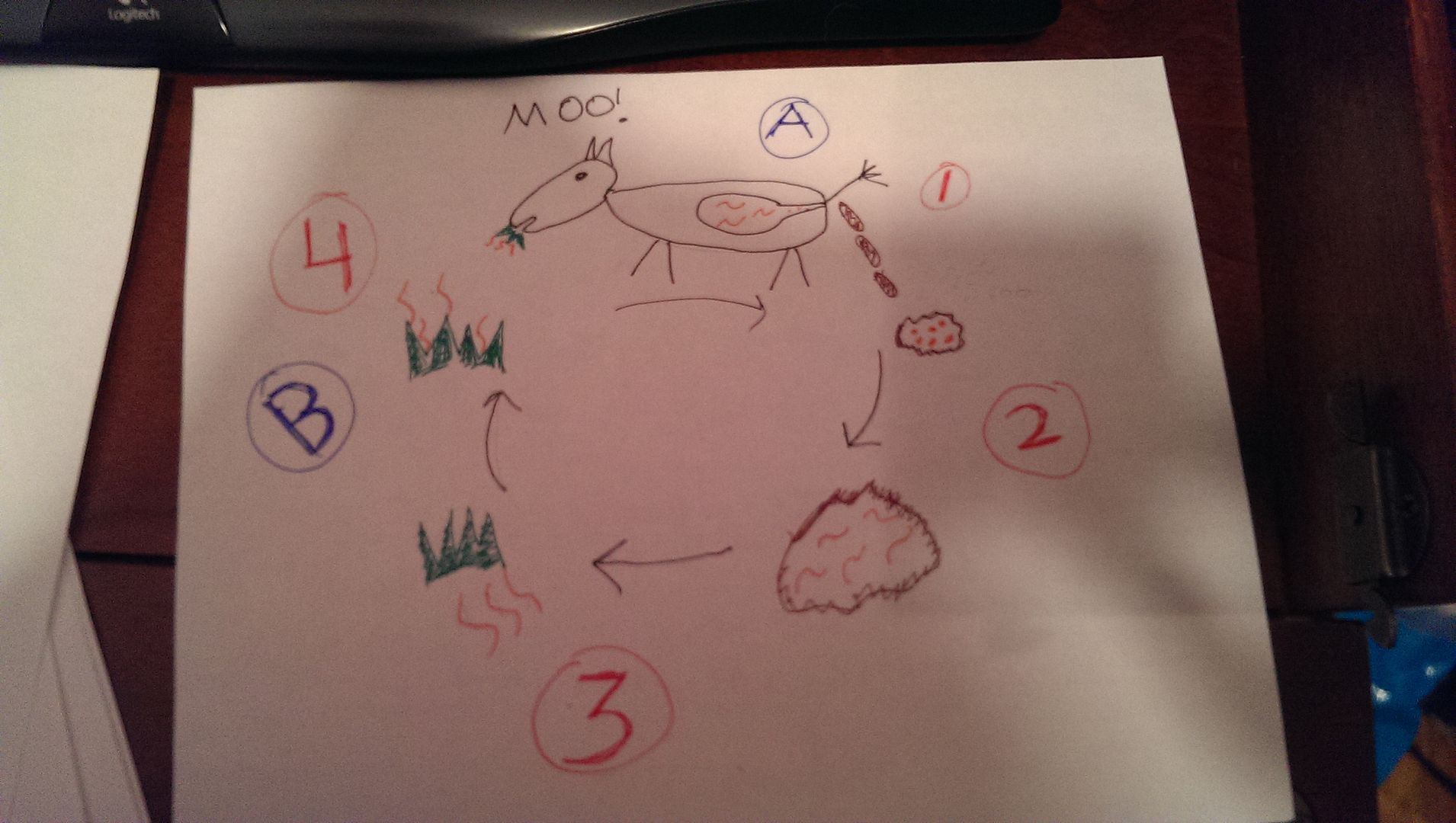 photo IMAG0929_zpsvn5tjjfj.jpg