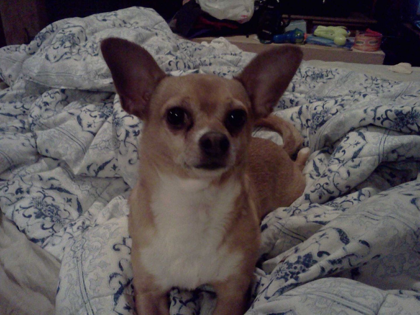  photo 1295142003754_zpsncffvkc8.jpg