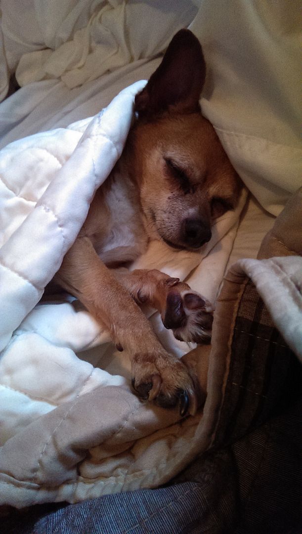 photo IMAG0385_zpsa3cxz1mf.jpg