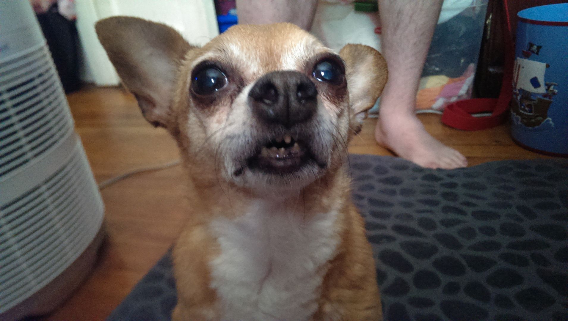 photo IMAG0446_zpscywtr1q9.jpg