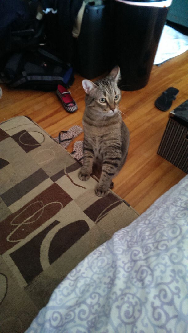 photo IMAG0450_zpsypcsmxl8.jpg