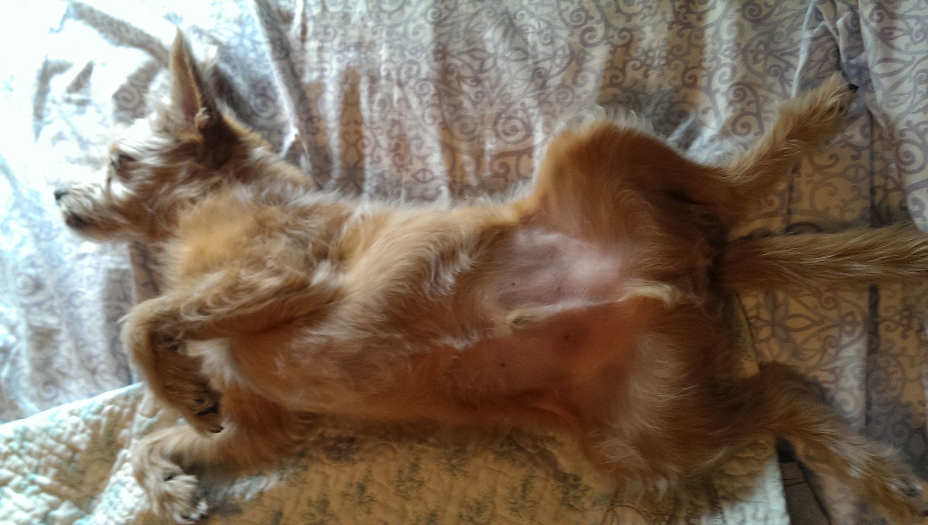 photo IMAG0471_zpsqyqadbfd.jpg