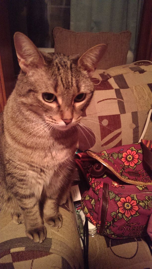 photo IMAG0476_zpsh7xdqkhx.jpg