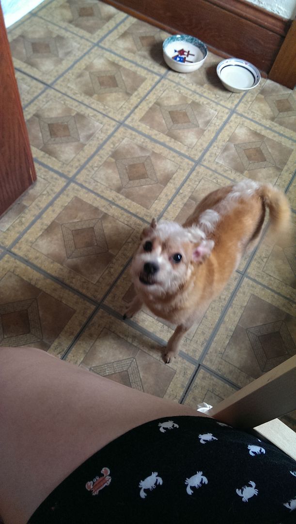  photo IMAG0583_zpsmyejawxy.jpg