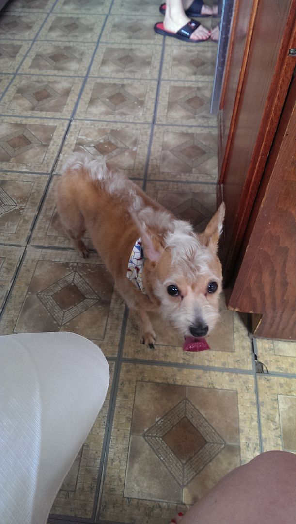  photo IMAG0584_zpssejy2ya0.jpg