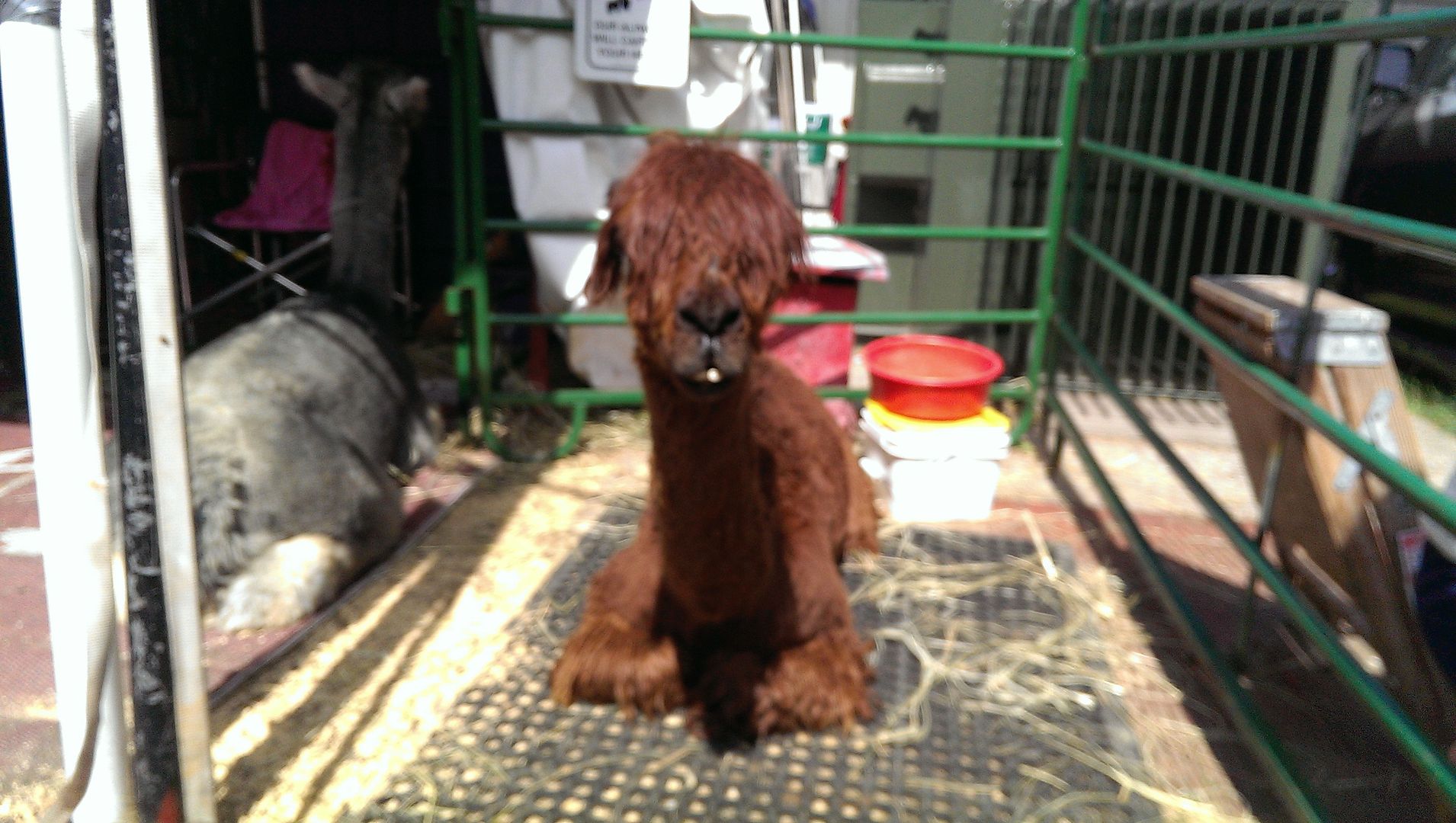  photo IMAG0716_zpsumlcrsmq.jpg