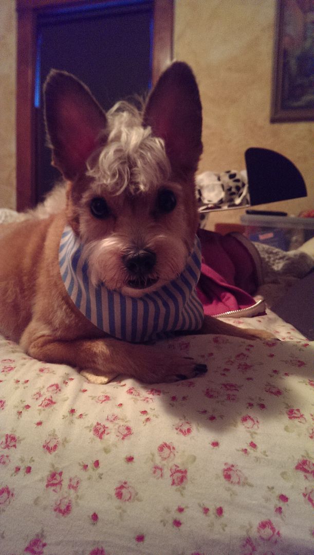 photo IMAG0950_zpscnibg7or.jpg