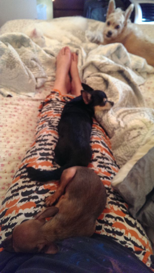 photo IMAG1091_zpsmmauq2ve.jpg