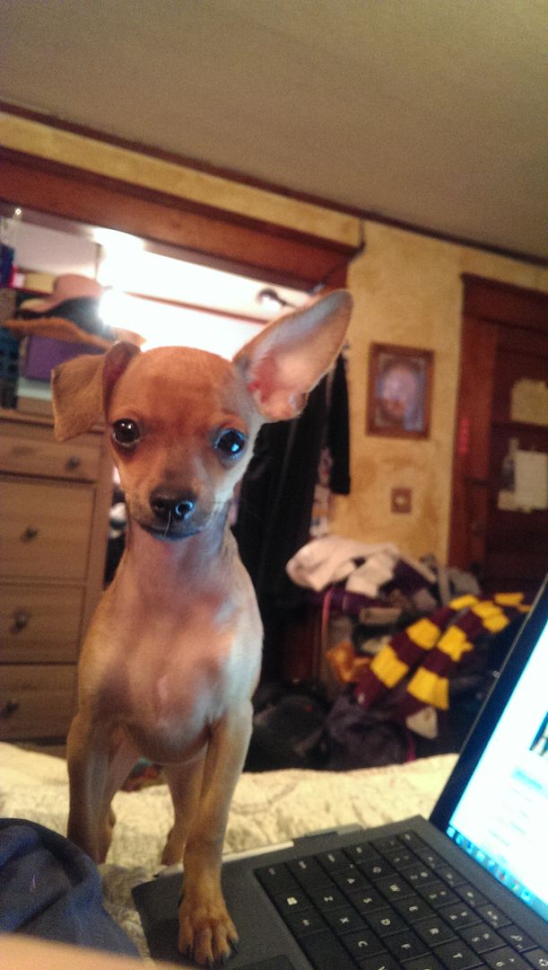 photo IMAG1212_zps7hvz59px.jpg