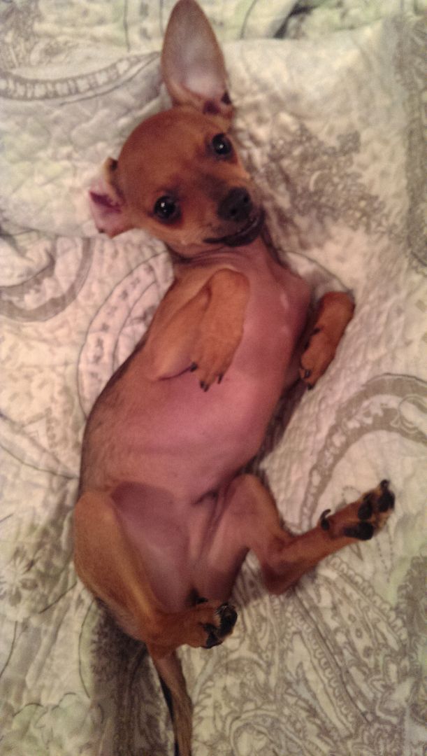 photo IMAG1226_zps3cndffij.jpg