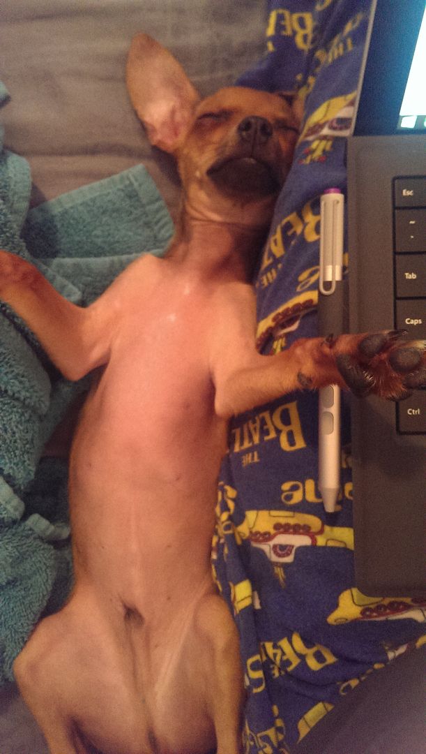 photo IMAG1368_zpscojstuwj.jpg