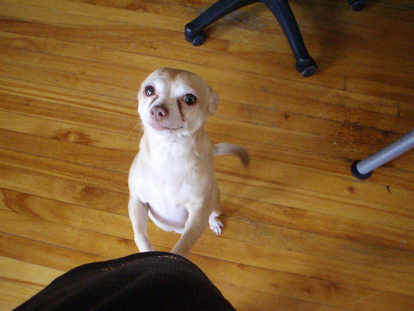 photo P8240121_zps2411e226.jpg