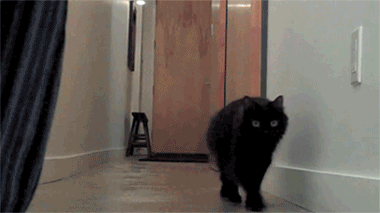 photo s0PCRRR_zps9sej9pqk.gif