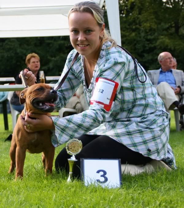 Sunshineflevodogshow.jpg