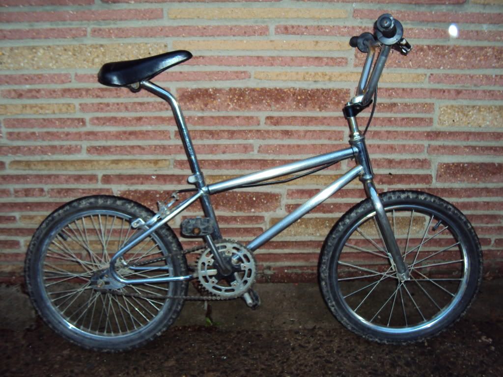 1987 mongoose expert