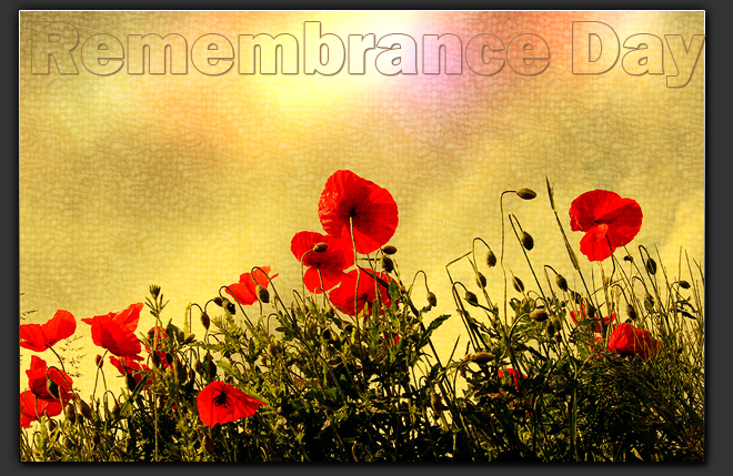 Remembrance Day Pictures, Images and Photos