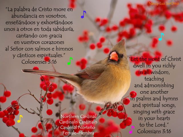 Colosenses 3:16 Colossians 3:16