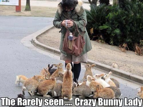 crazy_bunny_lady.jpg