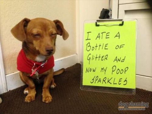 y_dog_poop_sparkles.jpg