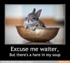 y_hare_in_soup.jpg
