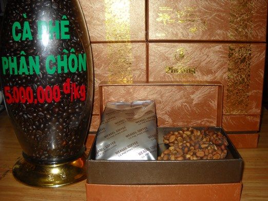 Cà phê phân chồn  chính hiệu  buôn ma thuột tại tp.hcm - 2