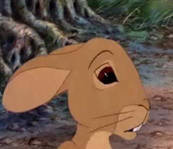 Nazi Rabbits and Canine Torture - Watership Down and The Plague Dogs
