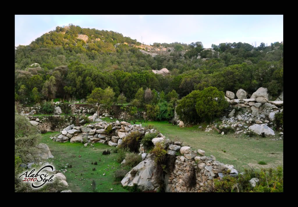 ������ ���� ������ �� ���� ������