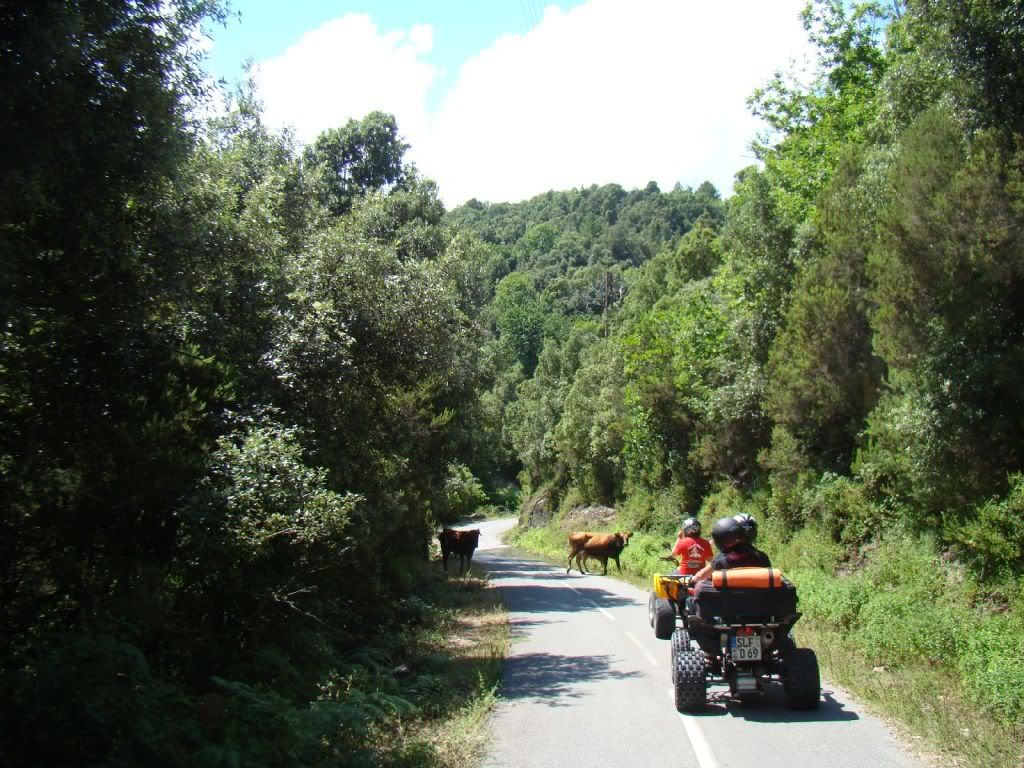 [Bild: Korsika201062.jpg]