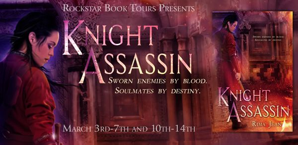 knight Assassin Blog Tour