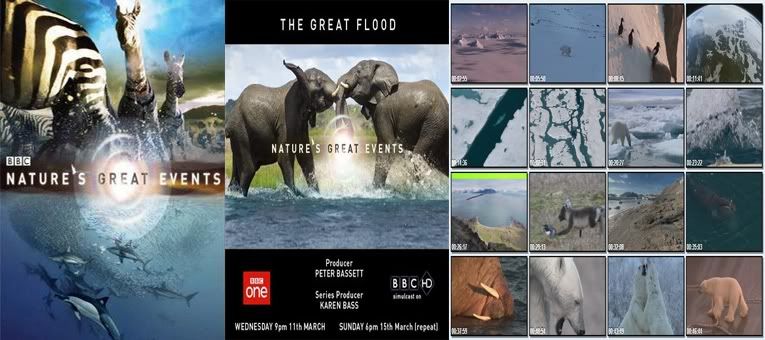 Series film tài liệu khoa học của BBC-Discovery-National Geographic–HBO về thế giới. - 4